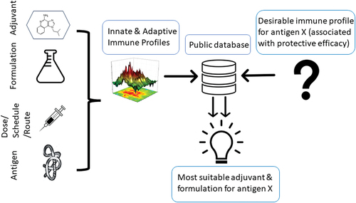 Figure 2. Proposed establishment of publicly accessible data repositories for immune profiles of adjuvants to inform rational adjuvant selection. An adjuvant’s innate and adaptive immune profile is affected not only by the adjuvant itself, but also formulation (delivery vehicle), the immunization (dose, schedule, and route) and the co-delivered antigen. Varying these parameters helps identify the aspects of the profile that are imprinted by the adjuvant itself. Knowing the desirable immune profile that a vaccine (that is based on “antigen X”) should induce, the database will facilitate the identification of the most suitable adjuvant and formulation in silico, thus bypassing the need to conduct laborious vaccination studies with multiple adjuvants.