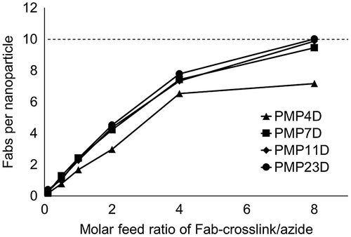 Figure 2. Fab content in nanoparticle-Fab conjugates prepared using PMP4D, PMP7D, PMP11D and PMP23D bifunctional PEG linkers at Fab-linker/azide feed molar ratios of 0.1, 0.5, 1, 2, 4 and 8 during the conjugation reaction. The theoretical maximum is set as 10 (dashed line) based on the polymer association number of each nanoparticle.