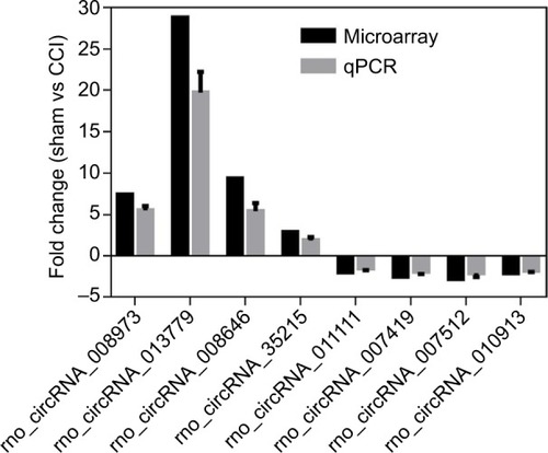 Figure 3 Validation of eight differentially expressed circRNAs by qPCR.