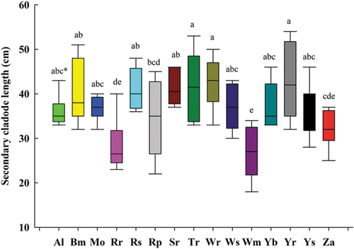 Figure 3. Length of secondary cladodes in accessions of cactus pear after six years.
