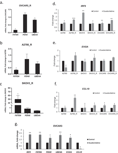 Figure 4. Effects of guadecitabine on expression of selected genes. (a–c) Basal mRNA expression levels of FXYD6, PDHX and UEB4A measured by real-time RT-PCR in platinum resistant (r) OVCAR5_R, A2780_R and SKOV3_R; (d–f) expression levels of IRF9, EVI2A and CCL19 on parental and cisplatin-resistant (R) A2780, SKOV3, and OVCAR5 treated with guadecitabine (100 nM) for 72 hours, and (g) OVCAR3 cells treated with the guadecitabine (100 nM) for 72 hours. Bars represent mean ± SD, n = 3 (* P < 0.05, ** P < 0.01)