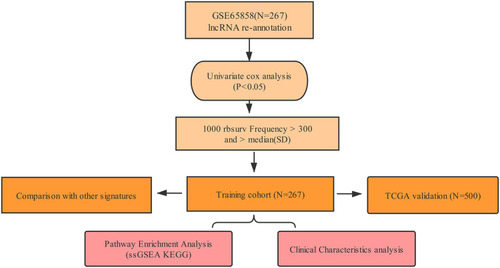 Figure 12 Flowchart of data analysis.