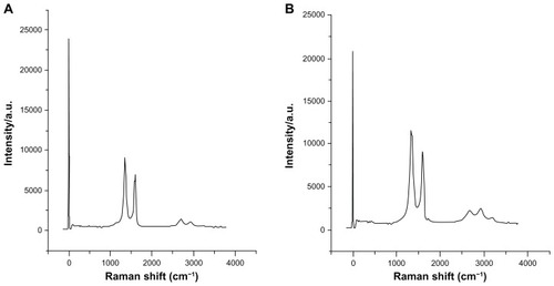 Figure 6 (A and B) Raman spectra of GO and rGO. The G-band and D-band of GO appear at 1595 cm−1 and 1347 cm−1, respectively (A). In the Raman spectrum of GO after the reduction by BME, (B) the D-band is broadened and shifted to around 1342 cm−1 and G band shifted to 1603 cm−1.Note: rGO after reduction by BME shows a higher D/G intensity ratio than GO.Abbreviations: GO, graphene oxide; rGO, reduced graphene oxide; BME, betamercaptoethanol.