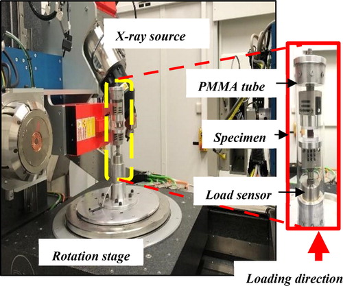 Figure 1. X-ray tomography device with in situ custom made compression testing rig setup with the cancellous bone specimen. Arrow (red) indicates the direction of load application.