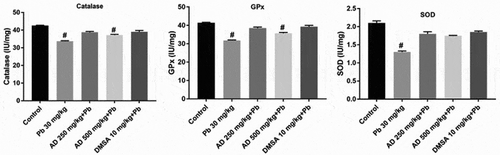 Figure 6. Catalase, glutathione peroxidase and superoxide dismutase activities in brain homogenate of Pb, AD +Pb and DMSA + Pb treated rat. # indicates significant difference with the control group at P < 0.05, (n = 4)