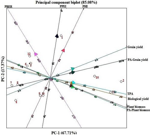 Figure 3. Principal component analysis biplot of yield, phosphorus accumulation and phosphorus efficiency indices of 12 bambara genotypes grown at low P. PHI = Phosphorus Harvest Index, PPEI = Phosphorus Physiological Efficiency Index, PBER = Phosphorus Biological Efficiency Ratio. Numbers in figure represent genotypes as follows: 1 = BAM001, 2 = BAM002, 3 = BAM003, BAM = 004, 5 = BAM005, 6 = BAM006, 7 = BAM007, 8 = BAM008, 9 = BAM010, 10 = BAM010, 11 = BAM011, 12 = BAM012.