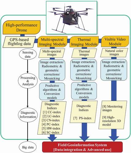 Figure 4. Advanced drone remote sensing system and function. (Inoue and Yokoyama Citation2019)