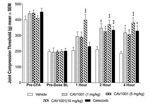 Figure 3 Efficacy of CAV1001 in CFA-induced JCT reduction.Notes: +: p<0.02; ++: p<0.002; *: p<0.01; **: p<0.001; ***: p<0.0002 (one-way ANOVA).