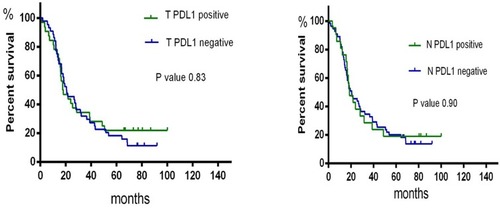 Figure 3 Kaplan-Meier Curve of OS by PD-L1 status in the primary tumour and N1 lymph nodes (T, primary tumour; N, metastatic lymph node).