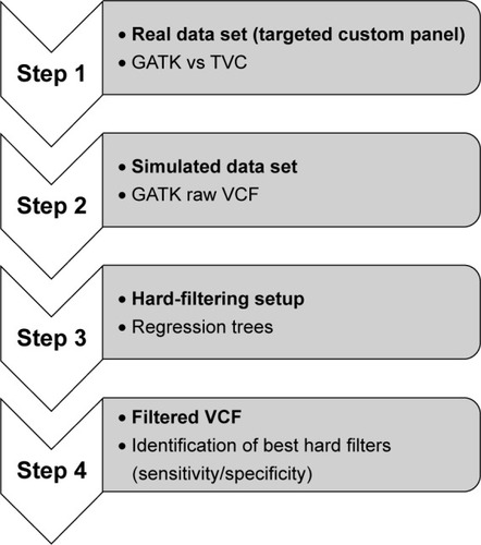 Figure 2 Our approach to setting up a pipeline for SNV calling.