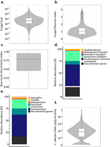Figure 1. Mycobiota characteristic of healthy subjects. (a). Violin plot of the fungal load observed in the 695 healthy subject fecal samples. (b). Alpha diversity : violin plot of the Shannon Index obtained for 604 healthy subjects’ fecal samples. (c). Beta diversity: Bray-Curtis dissimilarity values between samples donated by different subjects for ITS2 sequencing data obtained for 604 healthy subjects. Values range from 0 to 1, with 0 being the least dissimilar and 1 being the most dissimilar. (d). Barplot of the mean relative abundances of the fungal species that were detected in at least 50% of the 604 studied healthy subjects with a relative abundance above 0.1%. (e). Barplot of the mean relative abundances of the fungal genera that were detected in at least 50% of the 604 studied healthy subjects with a relative abundance above 0.1%. (f) Violin plot of C. albicans DNA levels observed in the 695 healthy subject fecal samples.