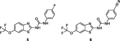 Figure 4. Substituted fluorophenyl containing benzothiazole urea derivative 5 and 2-substituted cyanophenyl containing benzothiazole urea derivatives 6.