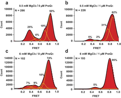 Figure 5. Mg2+ stabilizes Lrh preQ1-II riboswitch conformations that sequester the SD sequence into intramolecular core structure. Histograms compiled from hundreds of smFRET traces show the distribution of the FRET values for the riboswitch imaged in the presence of 0.5 mM Mg2+ (a-b) or 6 mM Mg2+(c-d). Measurements were taken either in the absence (a,c) or the presence of 1 μM preQ1 (b,d). Yellow lines represent individual Gaussian fits; black lines indicate the sum of Gaussians. The fraction of the riboswitch in each FRET state derived from Gaussian fits is shown next to respective individual Gaussian peaks. N equals the number of single-molecule traces compiled.