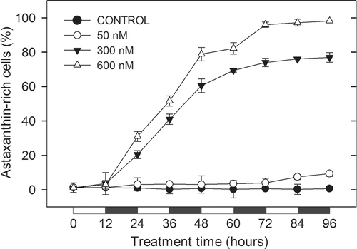 Fig. 2. Evolution of astaxanthin-rich subpopulation analysed by FCM in cultures of H. pluvialis exposed to different concentrations of paraquat. Results are expressed as the percentage of astaxanthin-rich cells in each culture with respect to microalgal population. Black and white bars indicate dark and light periods, respectively.