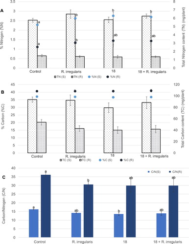 Figure 3. Average total nitrogen (A) and carbon (B) assimilation as well as content (in percentage) for shoots and roots of wheat plants from the greenhouse assay. The columns with the lighter and darker pattern represent total N or C in plant shoot and root, respectively. Average nitrogen and carbon percentages for shoots and roots are represented by lighter and darker dots, respectively. Characters TN, TC, %N and %C, inserted in the graphs, represent total nitrogen, total carbon, N content (%) and C content (%), respectively. In (C) the ratio between carbon and nitrogen content is represented for the plants’ shoot (light column) and root (darker column). Characters C/N (S) and C/N (R), inserted in the graph, represent average C/N ratio for shoots and roots, respectively. Other terms are as in the legend of the precedent figures. Vertical bars indicate SE (n = 5). The different letters indicate results that are statistically significantly different (P < 0.05).