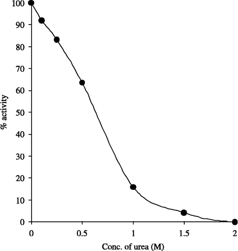 Figure 4 Effect of urea on DPP-III activity.
