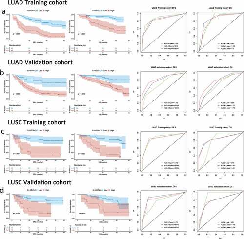 Figure 2. ISNSCLC performance in time-dependent ROC curves and Kaplan–Meier survival analyses in different cohorts. (a) LUAD training cohort. (b) LUAD validation cohort. (c) LUSC training cohort. (d) LUSC validation cohort. AUCs at 1, 3, and 5 y were used to assess prognostic accuracy. P-values were calculated by the log-rank test. DFS, disease-free survival; OS, overall survival; ROC, receiver operator characteristic; AUC, area under the curve.
