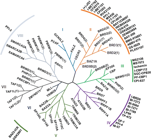 Figure 2. Structure-based phylogeny of the human bromodomains and their inhibitors. There are 61 bromodomains in 46 bromodomain-containing proteins. Roman numerals indicate the eight major structural classes. The phylogenetic tree is derived from data obtained Filipakoupoulos at al. (ref 17). The specific inhibitors described in this review are indicated next to the corresponding bromodomain.