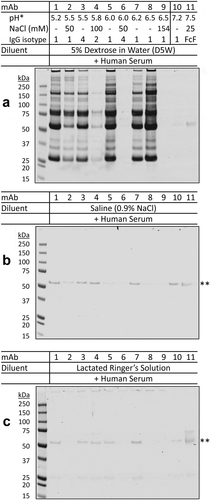 Figure 2. Aggregation of therapeutic mAbs after mixing with dextrose and human serum in vitro