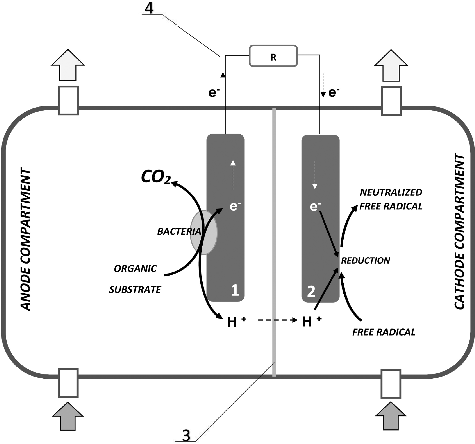 Figure 1. Experimental design and construction of the microbial fuel cell used in the experiments: 1 – anode; 2 – cathode; 3 – proton exchange membrane; 4 – external electric circuit.