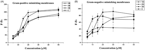 Figure 5. ThT aggregation as a function of the peptide/lipid ratio of 1B, 3B, 2B, C in liposomes mimicking Gram-positive (A) and Gram-negative (B) membranes.
