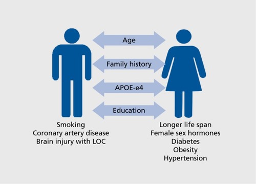 Figure 1. Relationship between males and females and possible risk factors for the development of Alzheimer disease and other dementias. Dementia risk factors, such as smoking, coronary artery disease, and brain injury with loss of consciousness, are more common among men than women. However, other risk factors, such as diabetes, obesity, and hypertension, are also more common among men, but women are disproportionately at risk for dementia when these conditions are present. Most studies of dementia examine risk by age. The longer life spans observed in women does not fully explain the sex bias for Alzheimer disease, but increases the over-all prevalence of all-cause dementia in women among the oldest old. Older age, family history of dementia, APOE-ε4 carrier status, and low education are prominent risk factors worldwide in both males and females. APOE, apolipoprotein E; LOC, loss of consciousness