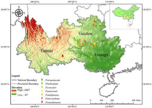 Figure 1. Location of the study site in Southwest China (inset) and Brachypetalum species collection sites (main). Scale bar=50 km.