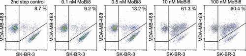 Figure 6. Simultaneous cellular binding analysis of monovalent bispecific antibody MoBi8. Binding to EGFR-positive cell line MDA-MB-468 and HER2-positive cell line SK-BR-3 was assessed by flow cytometric analysis. Of note, MDA MB 468 was labeled with CellTracker™ Deep Red Dye and HER2-positive SK-BR-3 cells were labeled with CellTrace™ CFSE to allow for double-positive fluorescence gating.