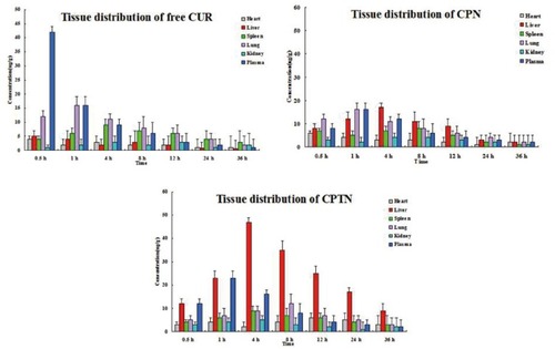 Figure 5 The serum and tissue CUR concentrations versus time after intravenous administration of free CUR, CPN and CPTN (n=6).
