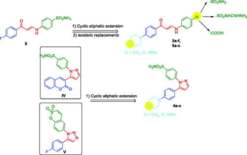 Figure 2. The rationale for the design of novel enaminones and pyrazoles as tumour-associated carbonic anhydrase inhibitors.