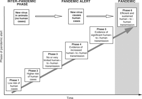 Figure 2 Phases of global pandemic alert for influenza. The Global Influenza Preparedness Plan of the World Health Organization (WHO) identifies six phases of pandemic alert. Each phase of alert is associated with a series of recommended responses and activities to be implemented by WHO, the international community, governments, and industry. The epidemiological behavior of the disease and the characteristics of circulating viruses, among other factors, determine changes from one phase to another. Source: Based on information in CitationWHO (2005d).