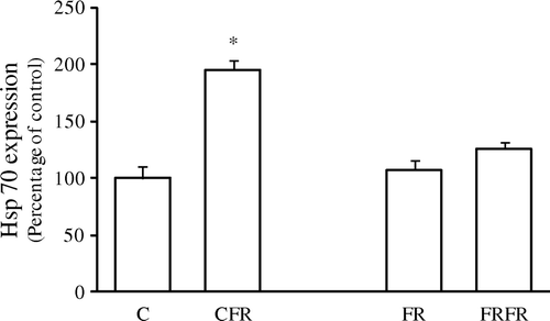 Figure 2.  Effect of 24-h feed withdrawal on ileal Hsp70 expression upon in vitro S. Enteritidis challenge in 42-day-old chickens. C, ad libitum feeding; CFR, ad libitum feeding with 24-h feed withdrawal on day 42; FR, 60% feed restriction on days 4, 5 and 6; FRFR, 60% feed restriction on days 4, 5 and 6 with 24-h feed withdrawal on day 42. The data (mean±standard error of the mean) obtained by scanning and volume integration of Hsp70 bands are expressed as the percentage of ad libitum feeding control chickens. *Statistically significant differences, P<0.05. n=12.