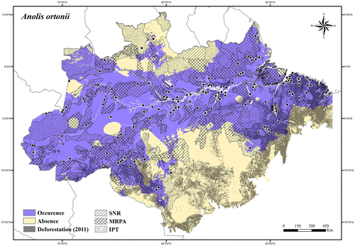 Figure 9. Occurrence area and records of Anolis ortonii in the Brazilian Amazonia, showing the overlap with protected and deforested areas.