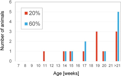 Figure 7. Transition to the anagen phase after shaving in the 60% and 20% O2 groups.