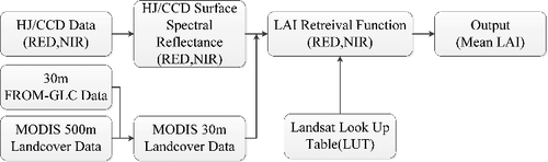 Figure 4. Schematic diagram describing the process of 30 m LAI retrieval from HJ-1 CCD data.