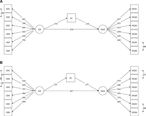 Figure 4 The latent variable mediation pathways for both groups.