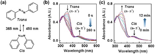 Figure 1. Chemical structures of two isomerised states of azobenzene molecules (a). Absorption spectra changes of azobenzene-based supramolecules upon irradiation of UV (b) and Vis (c) light, respectively. Reproduced with permission [Citation30].