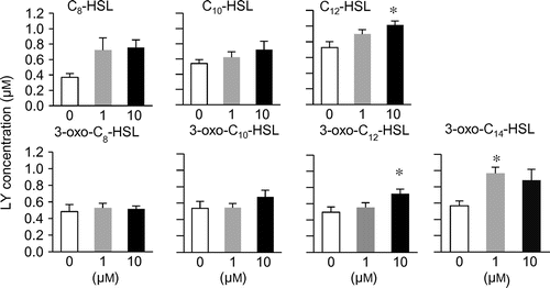 Fig. 3. Effects of AHLs on mucosal permeability of the isolated rat colon.Note: Colonic mucosa was isolated from rats and mounted in an Ussing chamber. Lucifer yellow (100 μM) and AHLs were added to the mucosal chamber and this was incubated for 60 min. The LY concentration in the serosal chamber was measured as permeability marker. Values are arbitrary units and are expressed as averages with SEM (n = 4).*Significant difference from control (p < 0.05).