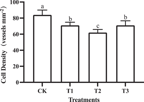 Figure 5. Berry cell density in grapes subjected to GA3 treatments. Different lower-case letters indicate significant differences among treatments (n= 3, Duncan’s test, p <.05).