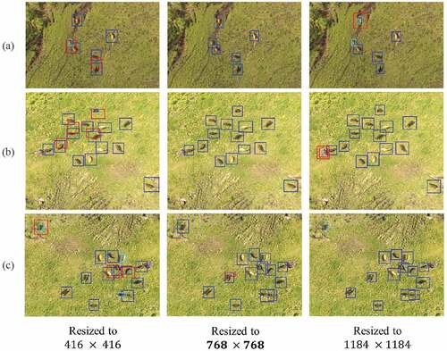 Figure 8. Detection results (blue: TP, red: FP, cyan: FN). FP and FN decreased by using our proposed input resolution of 768×768pixels. Examples of three areas are cropped from original images. The size of images in (a) is 1700×1100 pixels. The size of images in (b) is 1700×1500 pixels. The size of images in (c) is 1700×1300 pixels.