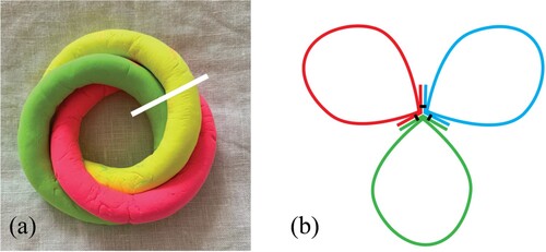 Figure 26. a) Clay model with white cut line representing an imagined slice-through location to produce the cross-section illustration in (b). b) Cross-section view showing the seam flaps with pairwise stitching in black.