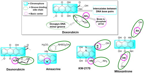 Figure 1. A group of previously reported drugs as topoisomerase II inhibitors and DNA intercalators, bear the same doxorubicin’s pharmacophoric features.