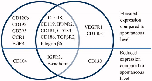 Figure 3. JEG-3 line trophoblast receptor expression in the presence of third trimester physiological pregnancy placenta supernatants (left circle) and those of preeclampsia complicated pregnancy (right circle) compared to spontaneous level of the same receptor expression by intact JEG-3 line cells.