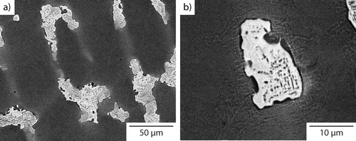 Figure 3. BSEI micrographs (a 50 μm; b 10 μm) of Al0.5CrFeCoNiCu cooled at 10°C min−1 from the liquid state