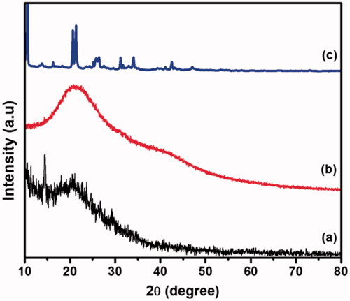 Figure 3. XRD pattern of the (a) CS/HA, (b) Si-HPMC, and (c) CS/HA/Si-HPMC hydrogels.