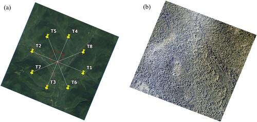 Figure 4. The WiDAS flight tracks (a) and the generated digital orthographic map of the KEA with spatial resolution equal to 0.4 m using Phase iXa 645DF camera (b).
