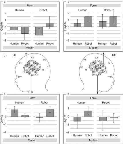 Figure 1. Hemodynamic brain responses (oxyHb in mmol/L) measured in 4-month-old infants during action observation. Regions of interest (ROIs) used for our analysis are marked on the schematic infant head model (ANT = anterior ROI, POS = posterior ROI, INF = inferior ROI, SUP = superior ROI). This graph depicts mean oxygenated hemoglobin concentration changes (±SEM) in anterior ROI-premotor (a and b) and the inferior ROI-temporal (d and e) brain regions during the four experimental conditions (form: human vs. robot; motion: human vs. robot). Channels that were summarized to regions of interest and used to calculate the mean oxygenated concentration changes are marked on the head model (c) for each hemisphere.