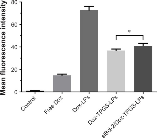 Figure 3 The cellular uptake of Dox in H22 cells was measured by flow cytometer after treatment with free Dox, Dox-LPs, Dox-TPGS-LPs, or siBcl-2/Dox-TPGS-LPs at a Dox concentration of 5 µg/mL for 4 hours; untreated cells served as a control.Notes: Data are presented as mean ± SD (n=3). *P<0.05, compared with Dox-TPGS-LPs.Abbreviations: Dox, doxorubicin; LPs, liposomes; siBcl-2, Bcl-2 siRNA; TPGS, D-α-tocopherol polyethylene glycol 1000 succinate.