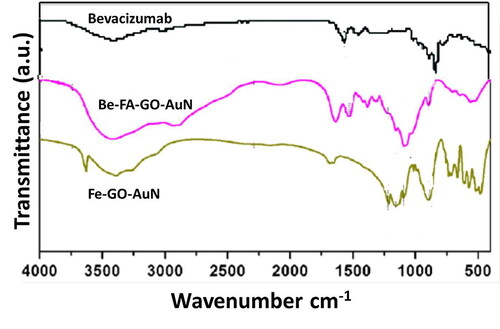 Figure 2. FTIR spectra of free bevacizumab, FA-GO-AuN and Be-FA-GO-AuN.