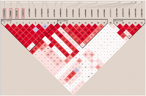 Figure 1. Linkage disequilibrium structure in 9p21. This Haploview image shows three distinct haploblocks formed by 23 SNPs genotyped in the original Finnish case-control cohort. The replicated SNPs (boxed) are all located in Haploblock 1, which spans the region of three genes that associate with coronary artery disease and type 2 diabetes.